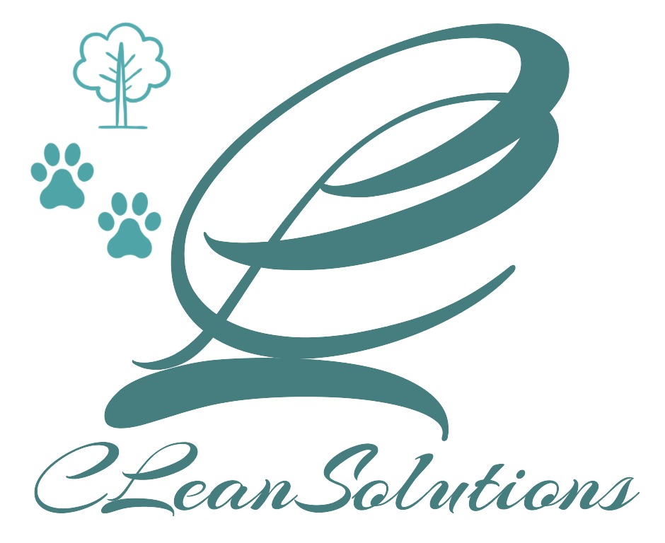Carbon Lean Solutions Logo